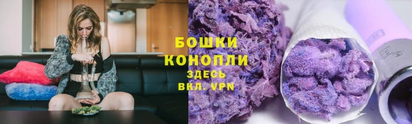 стаф Белокуриха