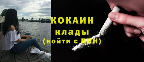 ПСИЛОЦИБИНОВЫЕ ГРИБЫ Белоозёрский