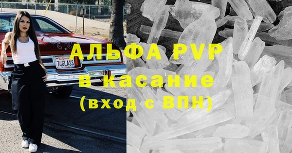 ПСИЛОЦИБИНОВЫЕ ГРИБЫ Белоозёрский