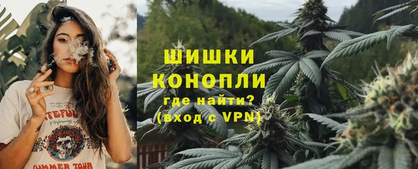 ПСИЛОЦИБИНОВЫЕ ГРИБЫ Белоозёрский