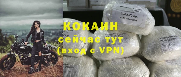 ПСИЛОЦИБИНОВЫЕ ГРИБЫ Белоозёрский