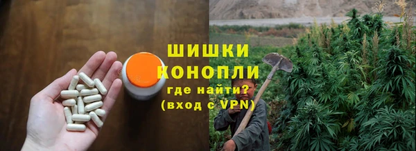 стаф Белокуриха