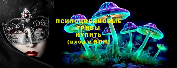 стаф Белокуриха