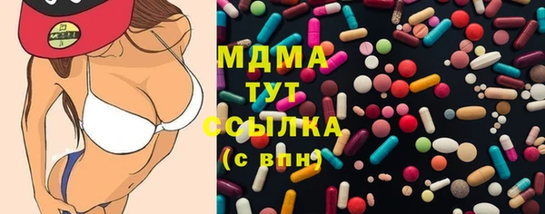 стаф Белокуриха