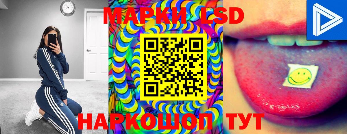 ЛСД экстази ecstasy Гатчина