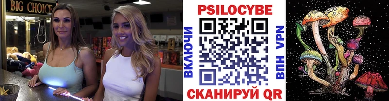 Галлюциногенные грибы Psilocybine cubensis  Гатчина 