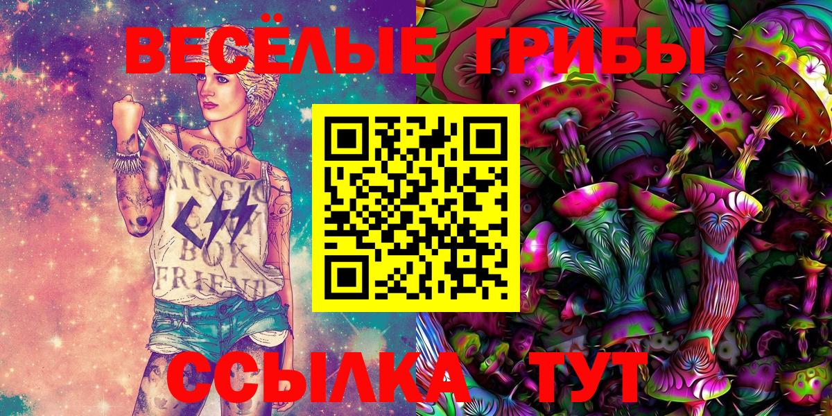 Галлюциногенные грибы Psilocybe Гатчина