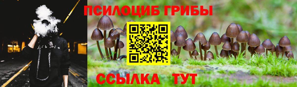 цена наркотик  Псилоцибиновые грибы Psilocybe  Гатчина  Вход с VPN  Галлюциногенные грибы Cubensis 